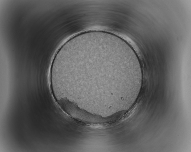 X0000096131199200802151307