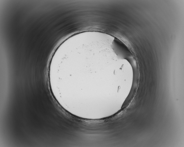 X0000096131200200802151307