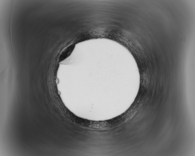 X0000096131201200802151307