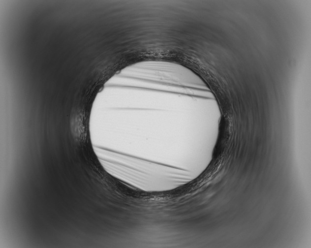 X0000096131202200802151307