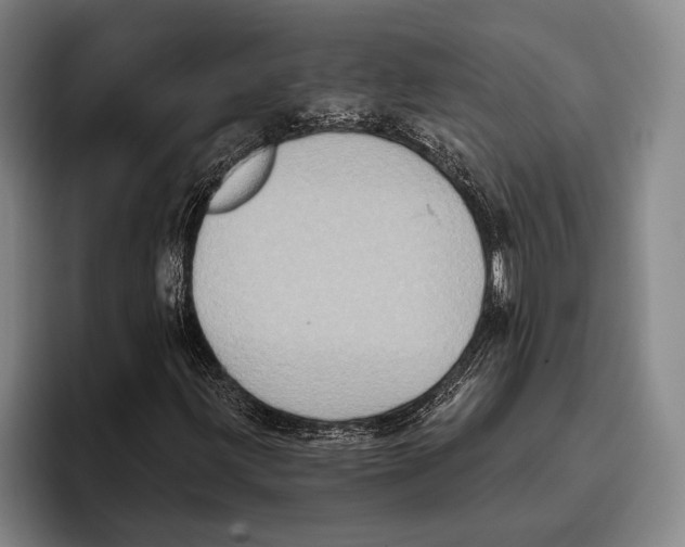 X0000096131203200802151307