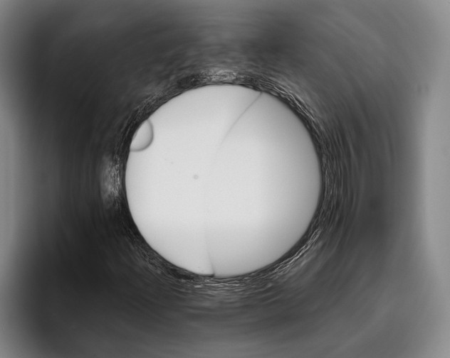 X0000096131204200802151307