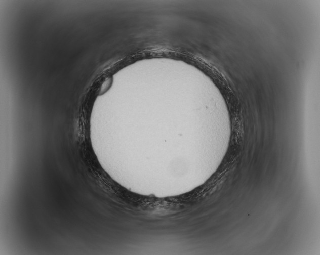 X0000096131207200802151307