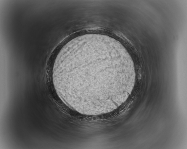 X0000096131208200802151307