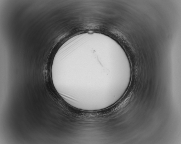 X0000096131210200802151307