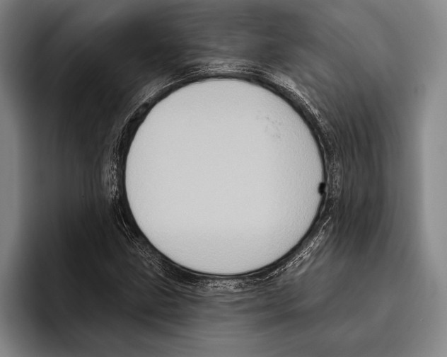 X0000096131211200802151307