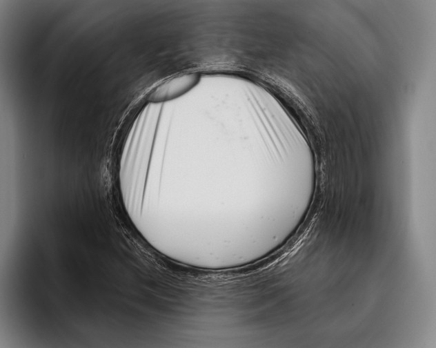 X0000096131212200802151307