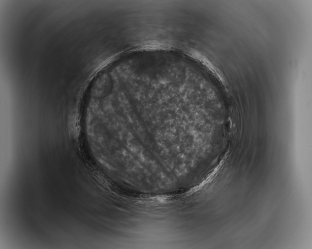 X0000096131213200802151307