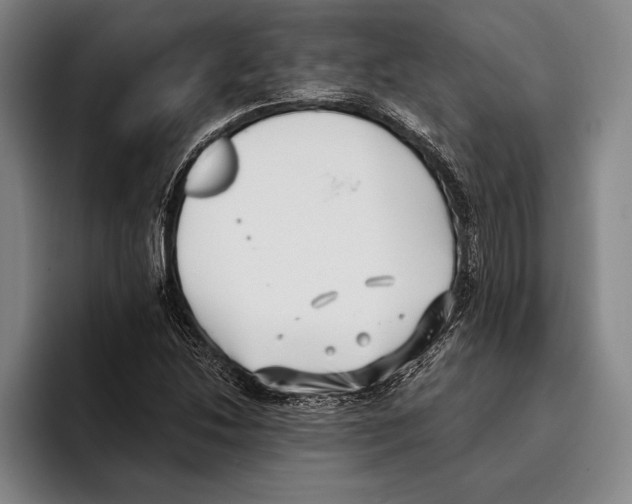 X0000096131214200802151307