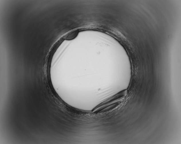 X0000096131216200802151307