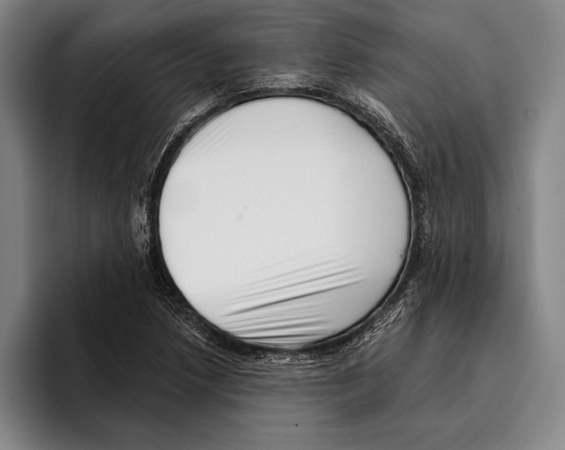 X0000096131218200802151307