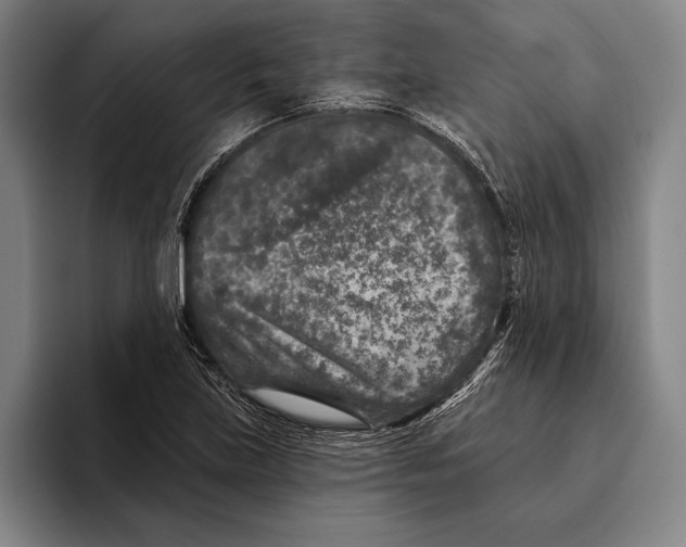 X0000096131219200802151307