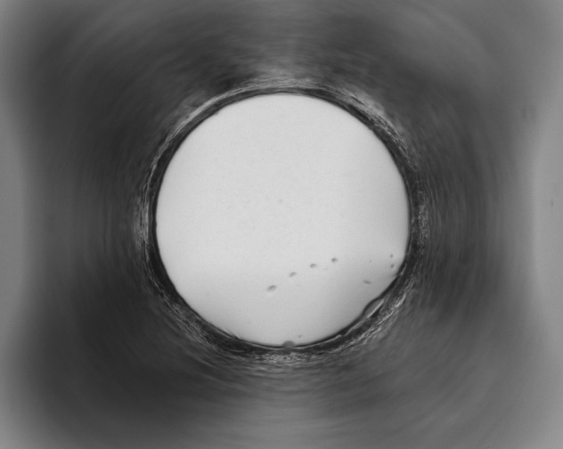 X0000096131220200802151307