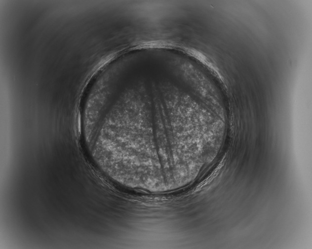 X0000096131221200802151307