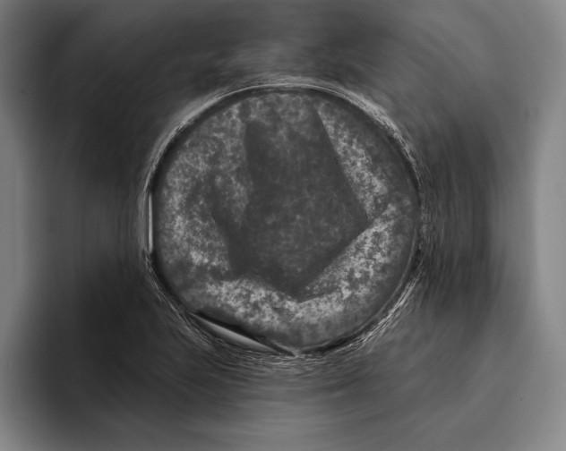 X0000096131223200802151307