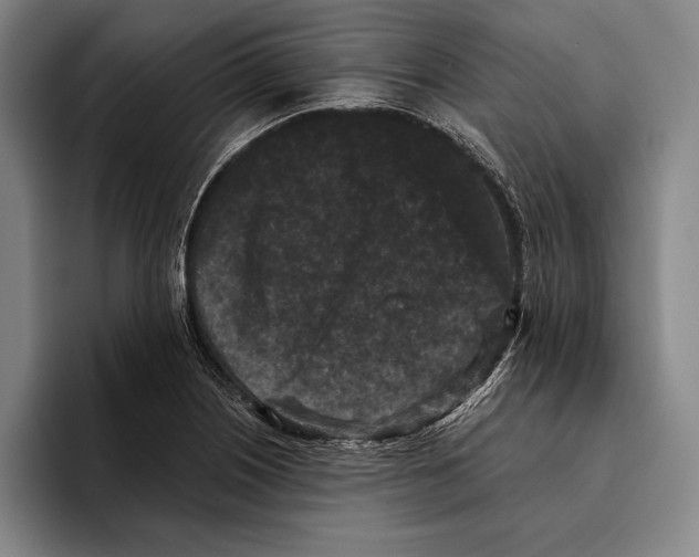 X0000096131226200802151307