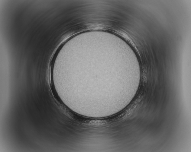 X0000096131227200802151307