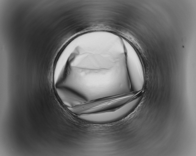 X0000096131228200802151307