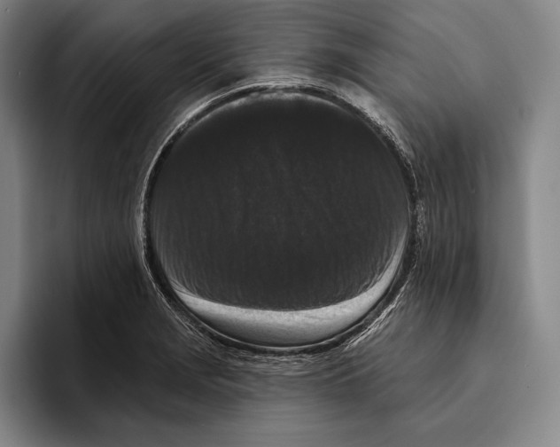 X0000096131229200802151307