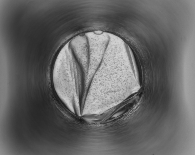 X0000096131230200802151307