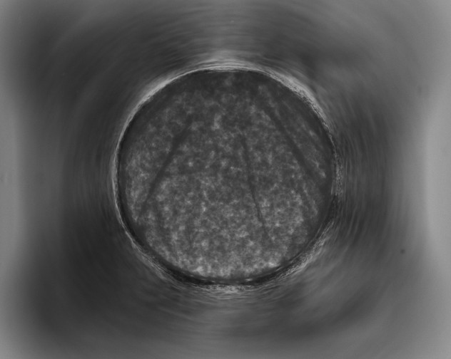 X0000096131231200802151307