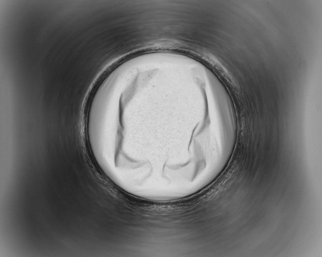 X0000096131232200802151307