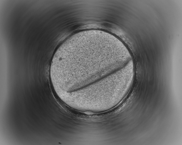 X0000096131233200802151307