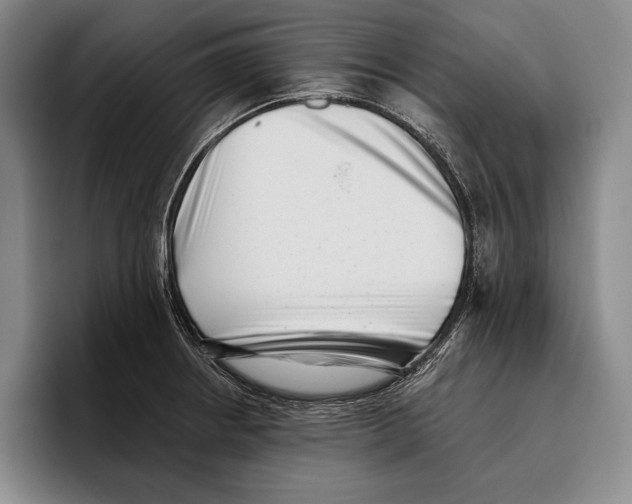 X0000096131234200802151307