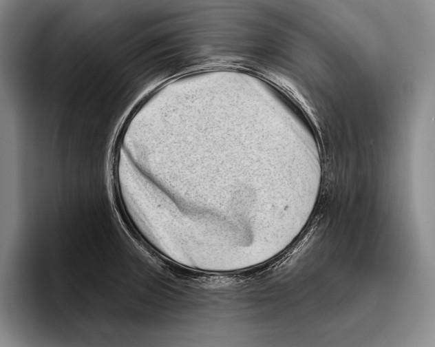 X0000096131235200802151307