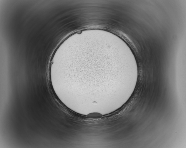 X0000096131236200802151307