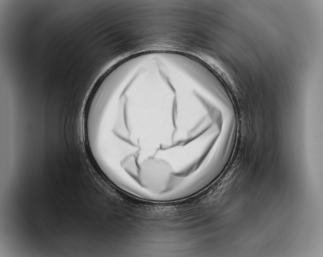 X0000096131238200802151307