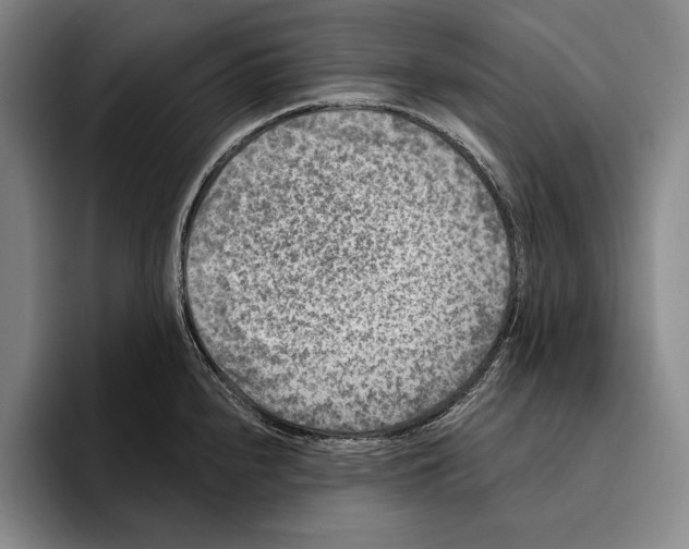 X0000096131240200802151307