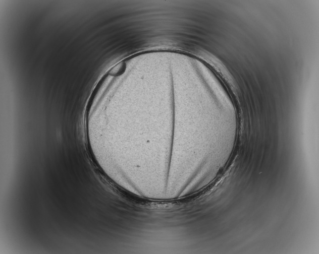 X0000096131242200802151307