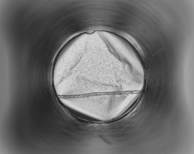 X0000096131244200802151307