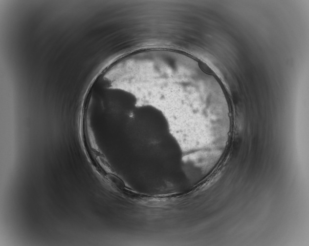 X0000096131245200802151307