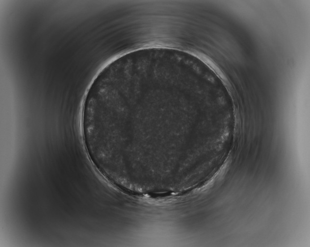 X0000096131246200802151307