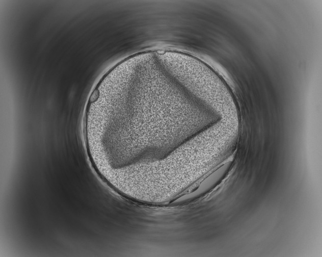 X0000096131247200802151307