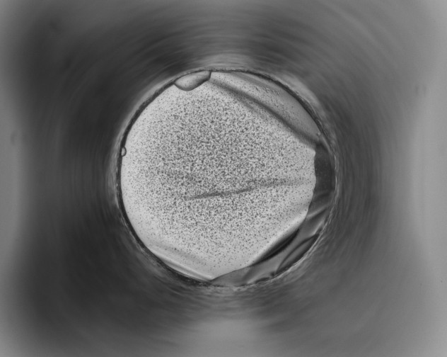 X0000096131248200802151307