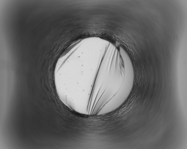 X0000096131249200802151307