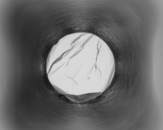 X0000096131250200802151307