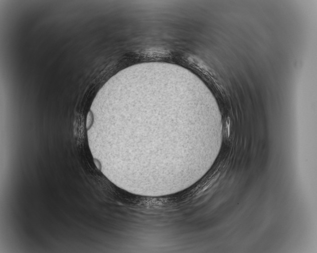 X0000096131251200802151307