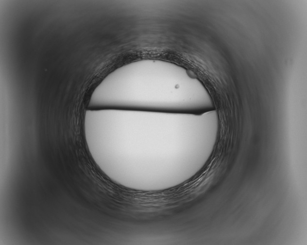 X0000096131252200802151307