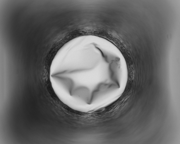 X0000096131253200802151307