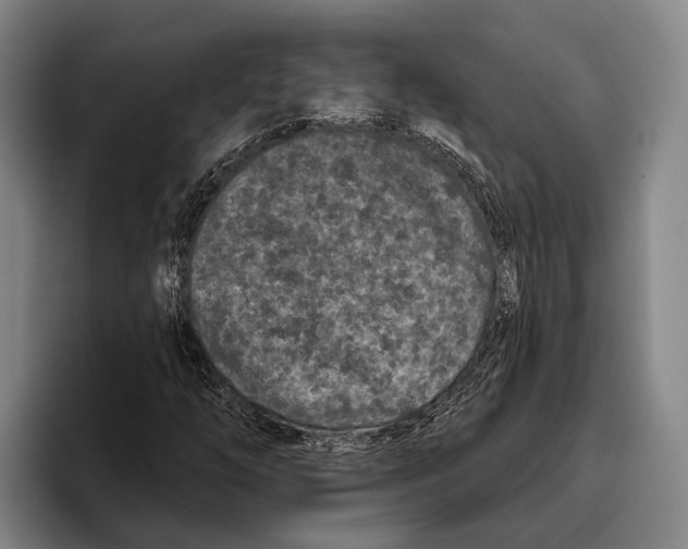 X0000096131254200802151307