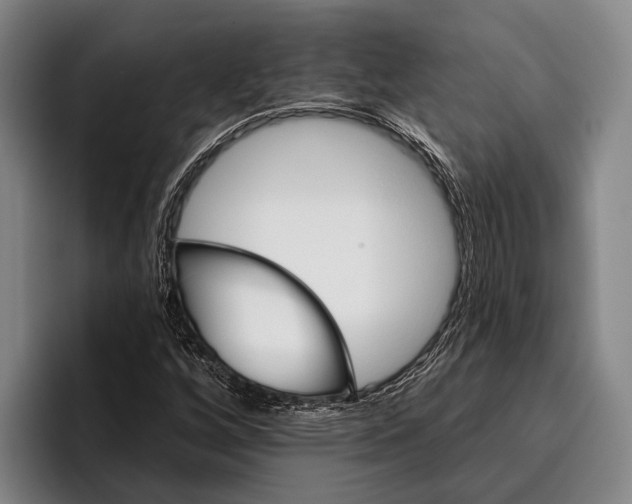 X0000096131256200802151307