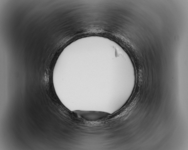 X0000096131257200802151307