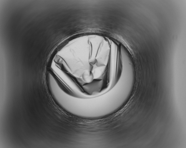 X0000096131260200802151307