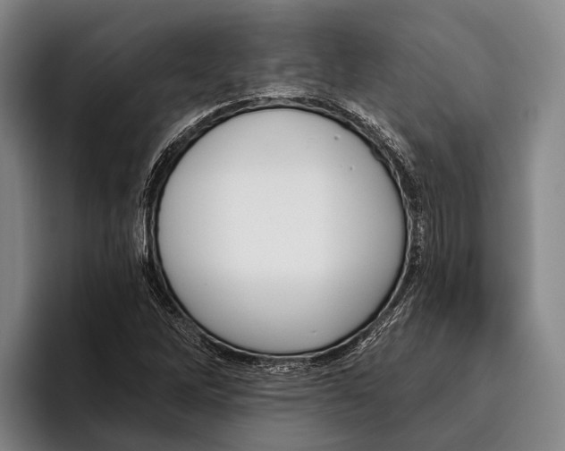 X0000096131262200802151307