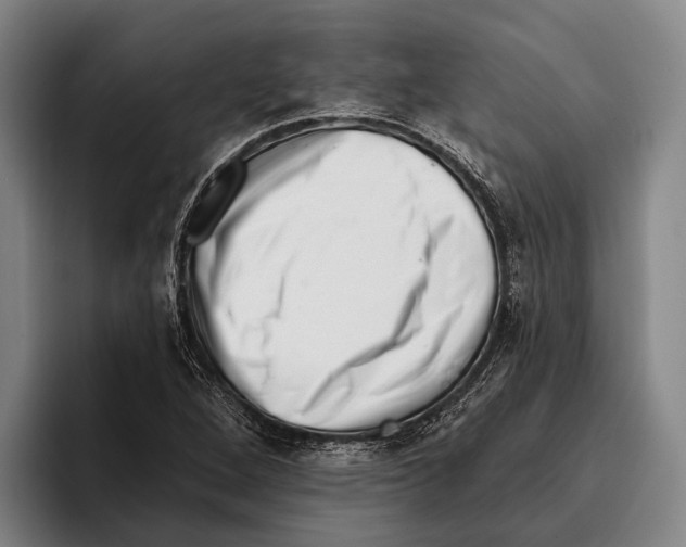 X0000096131264200802151307