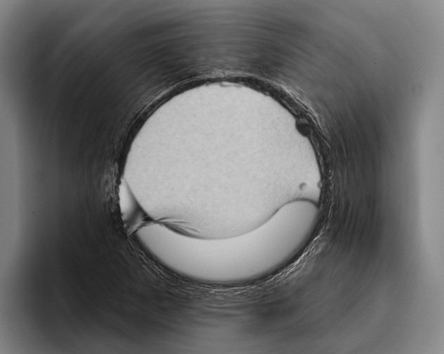 X0000096131265200802151307